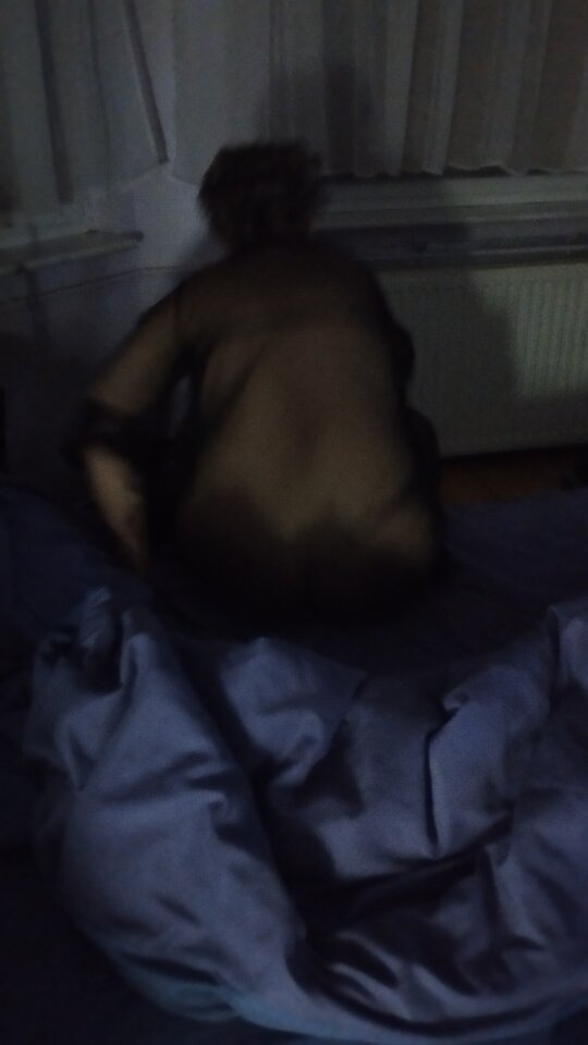 IMG_20260123_223436.jpg - Szkp1973