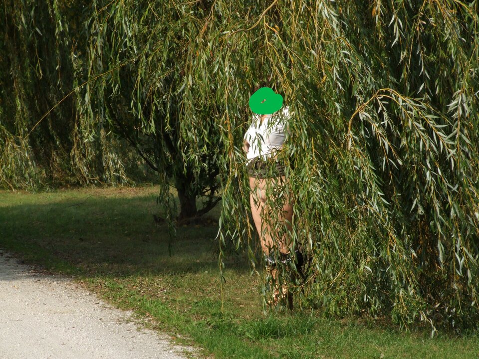 Alejka wierzb - chanel 2