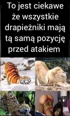 Screenshot_20260124_172633_com.facebook.katana_edit_951987293647