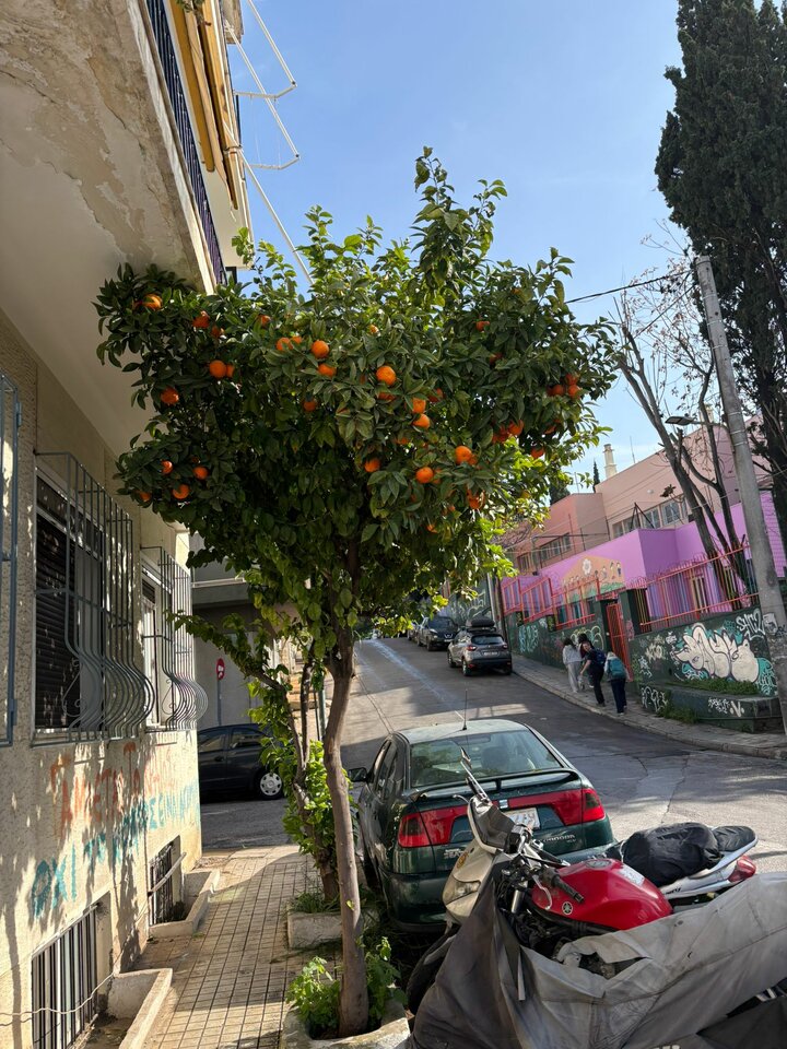 1000007373.jpg - marcco01