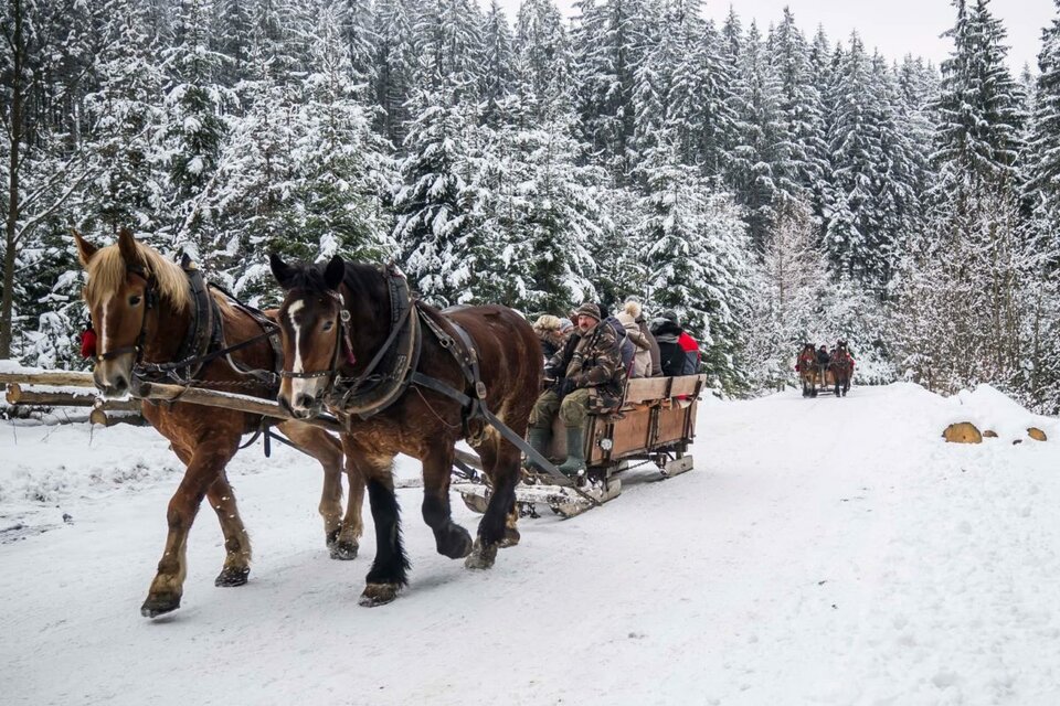 1000016893.jpg - IrPKIr