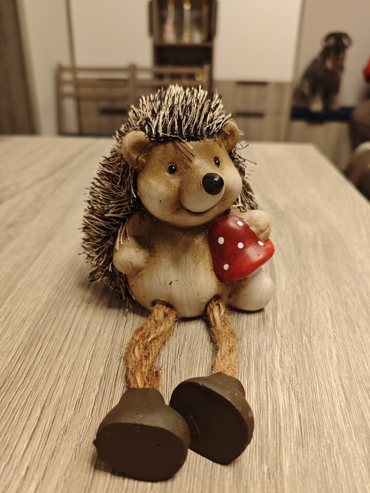 1000016705.jpg - IrPKIr