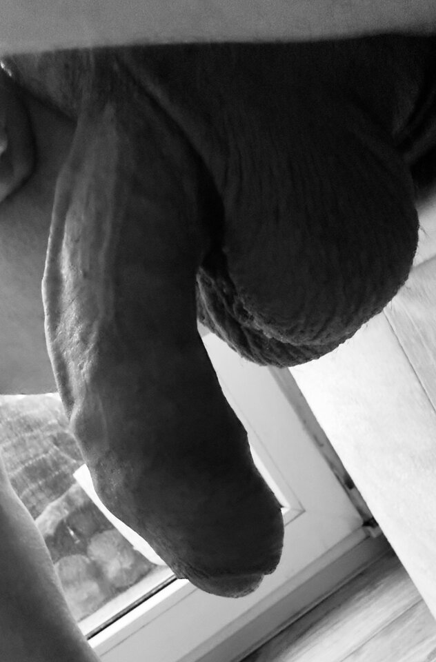 IMG_1852.jpeg - Poszukujac81