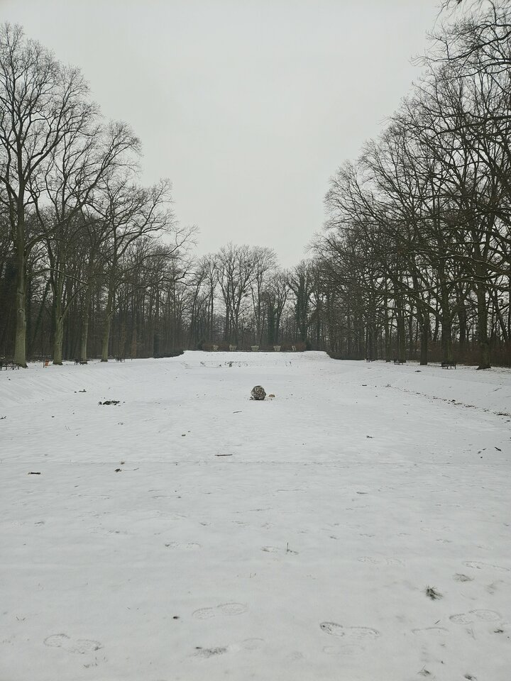 20260125_134012.jpg - Kubus1423