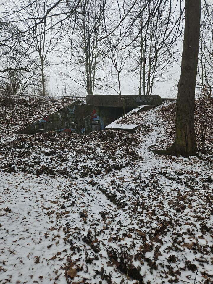 20260125_132707.jpg - Kubus1423