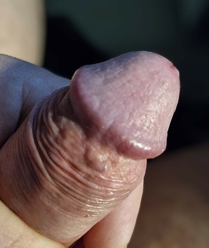 1000044902.jpg - ADAM_1_1