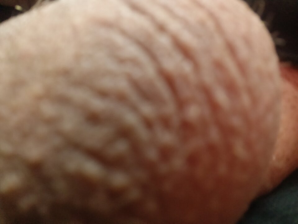 IMG20260126071823.jpg - Mlody2496