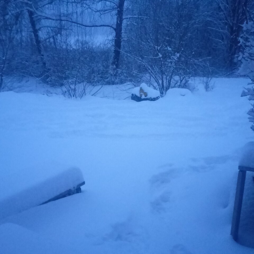 IMG20260126074234.jpg - Klasik49