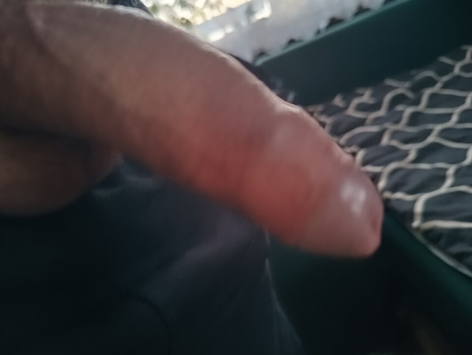 1000013646.jpg - janek0000