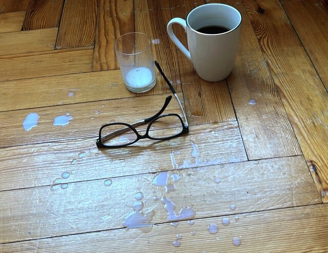 Panisuczka_jejpsina2