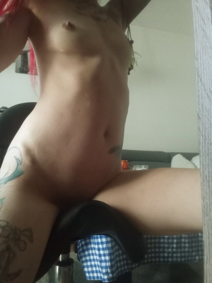 IMG_20260126_150849.jpg - Czarnalolka