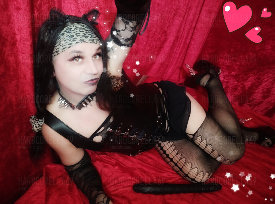 OSTRA KOCICA CZEKA NA PANCIA - HARDCORELLA69