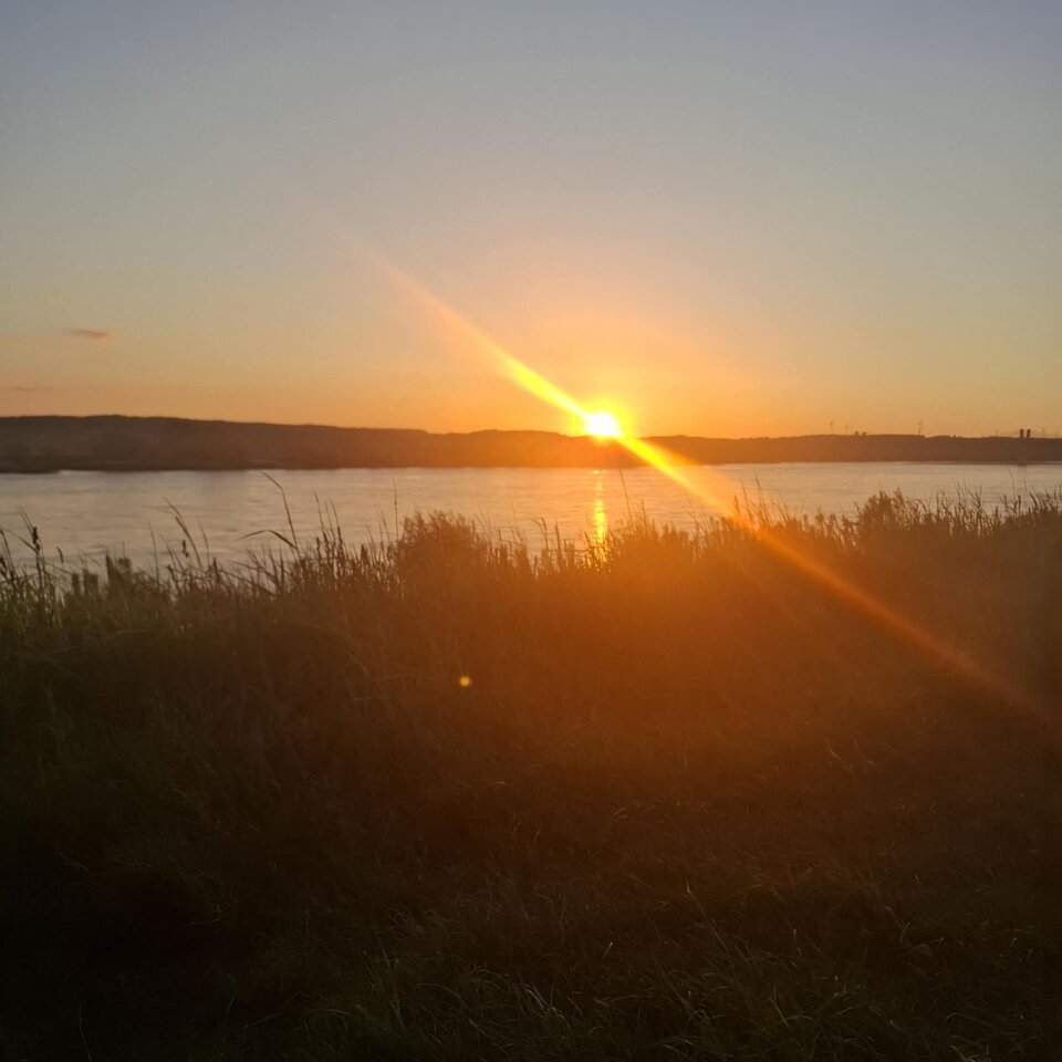 74b1501d-54cb-482f-b48e-c29f8eabae2c.jpg - Riviva7781