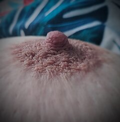 IMG_20251201_122026.jpg