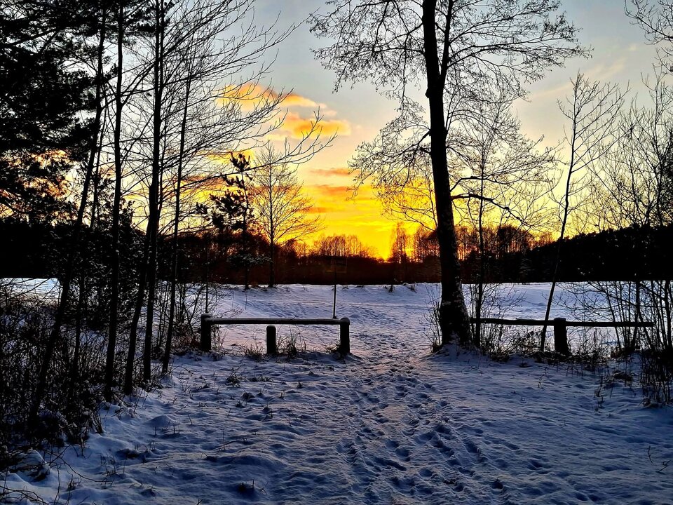 7993.jpg - Motylica83