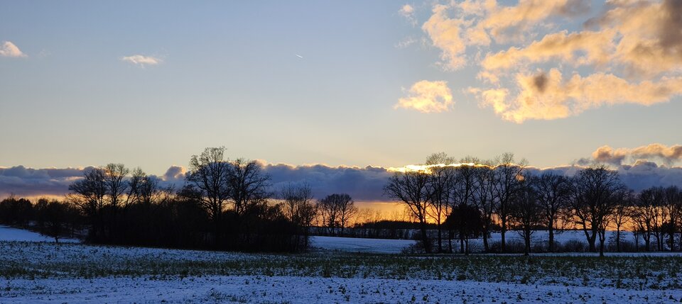 15398.jpg - Robertleszy