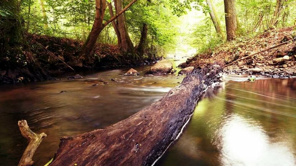 13014.jpg - Robertleszy