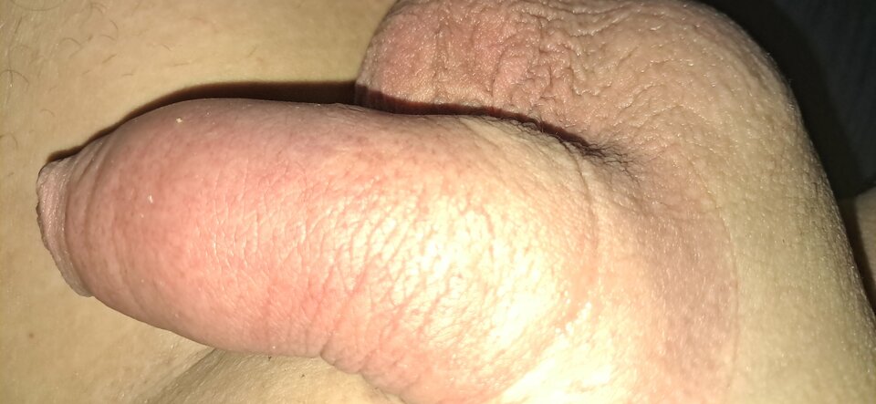 1000013385.jpg - robercu