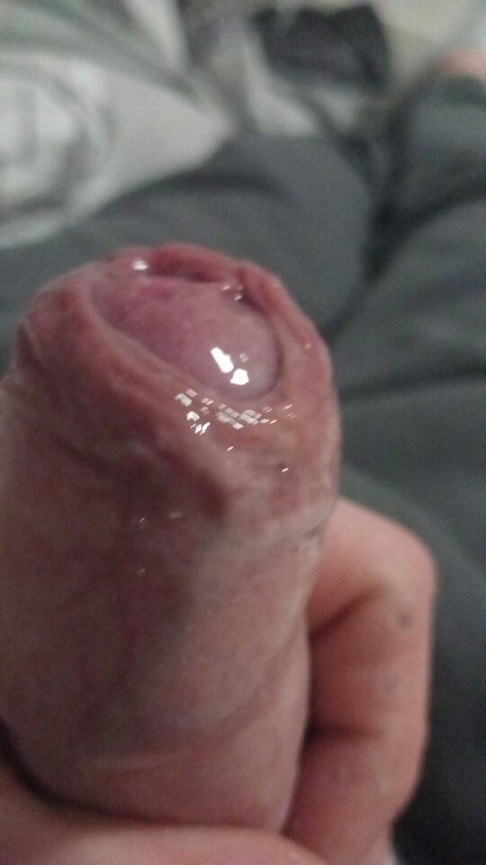 IMG-20241128-WA0001.jpeg - RafalDw38