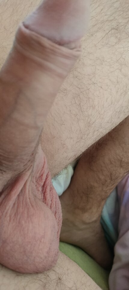 1000021740.jpg - cypis2039