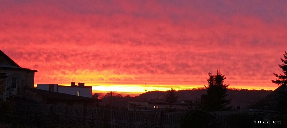 bfa8be9e-4dfc-4a2b-8c81-24a6c54ba9f8-1_all_609.jpg - Just_boy1