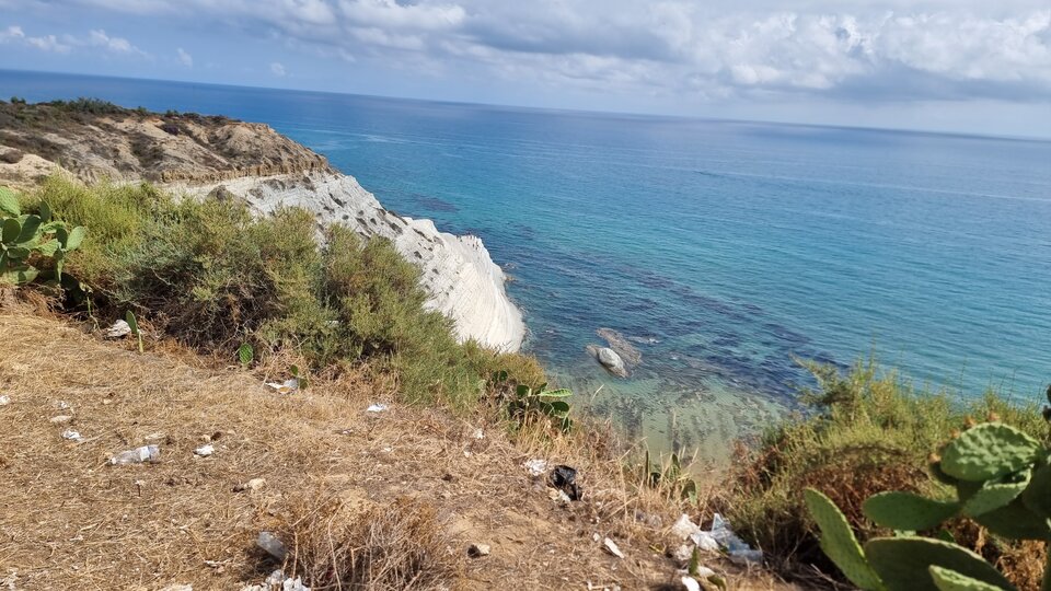 1000025436.jpg - tractor__driver