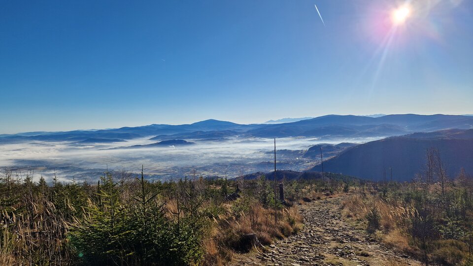 20251106_084816.jpg - SlawBiel